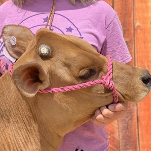 Meet your Posher, Jayma